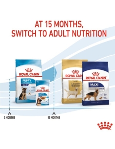 Royal Canin Dog SHN Maxi Puppy KG 4