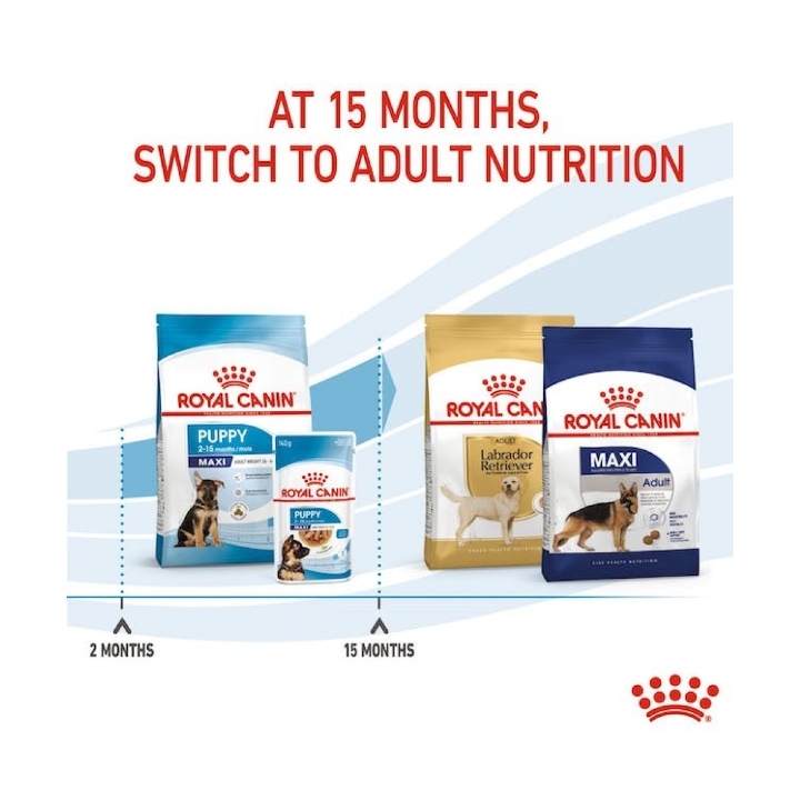 Royal Canin Dog SHN Maxi Puppy KG 4