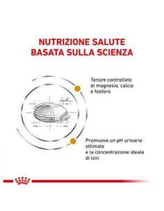 Royal canin Veterinary cat urinary SO KG 3.5