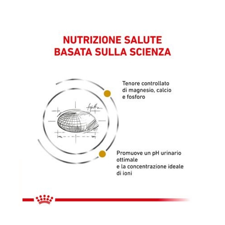 Royal canin Veterinary cat urinary SO KG 3.5