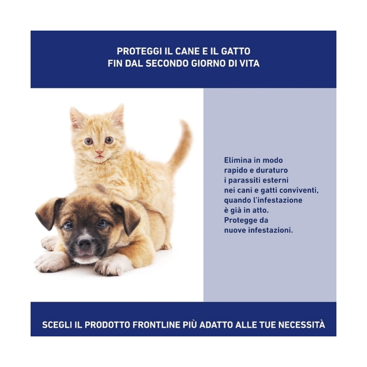 FRONTLINE Spray ml 100