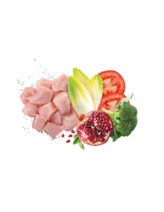 Exclusion Dog mediterraneo monoprotein Medium&Large Mature pollo KG 12