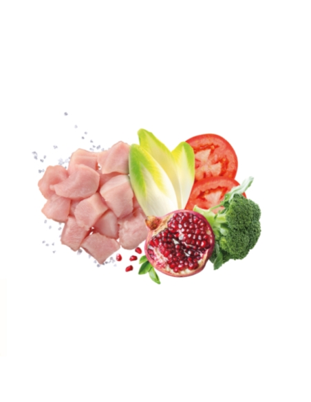 Exclusion Dog mediterraneo monoprotein Medium&Large Mature pollo KG 12