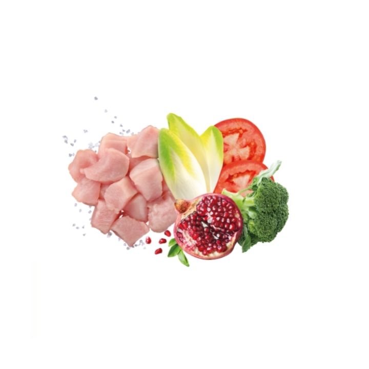 Exclusion Dog mediterraneo monoprotein Medium&Large Mature pollo KG 12