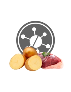 Exclusion Dog Hypoallergenic Medium&Large Adult anatra e patate KG 12