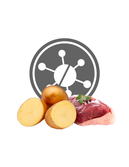 Exclusion Dog Hypoallergenic Medium&Large Adult anatra e patate KG 12