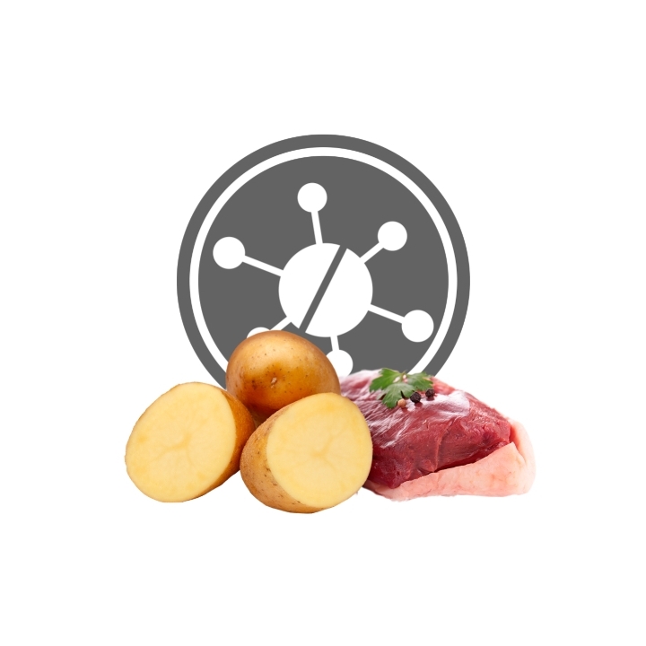 Exclusion Dog Hypoallergenic Medium&Large Adult anatra e patate KG 12