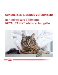 Royal canin Veterinary cat Gastrointestinal Fibre Response KG 2