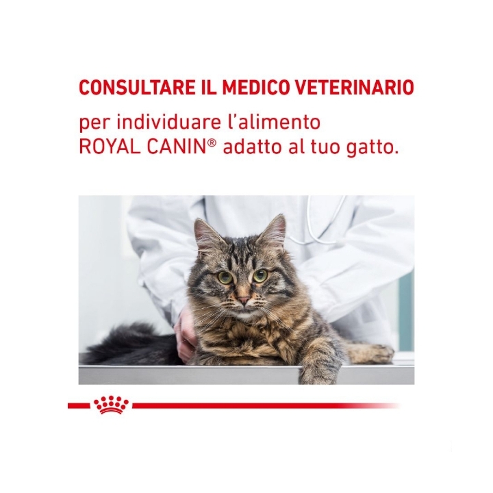 Royal canin Veterinary cat Gastrointestinal Fibre Response KG 2