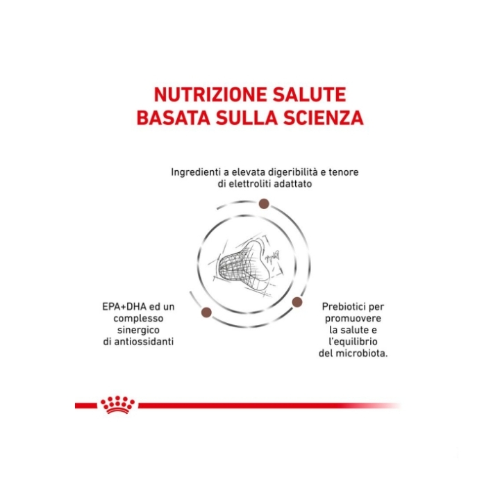 Royal canin Veterinary cat Gastrointestinal Fibre Response KG 2