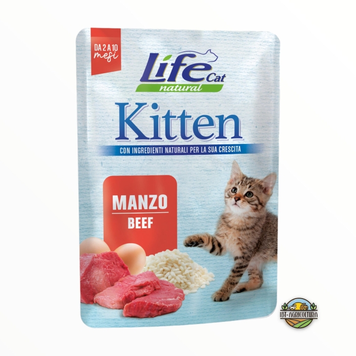 Life cat kitten con manzo 70 gr