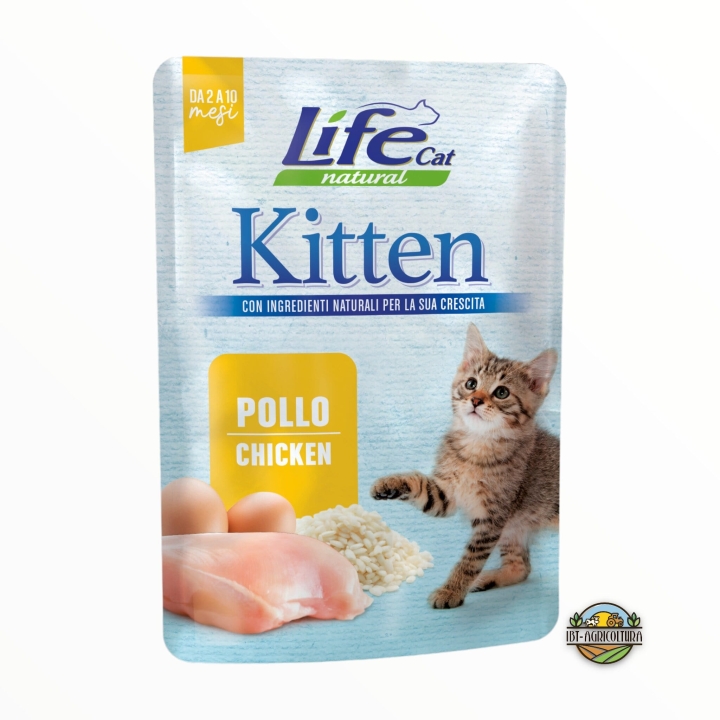Life cat kitten con pollo 70 gr