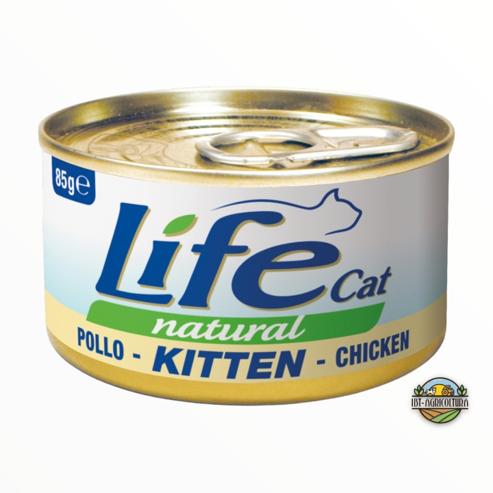 Life cat kitten con pollo 85 gr