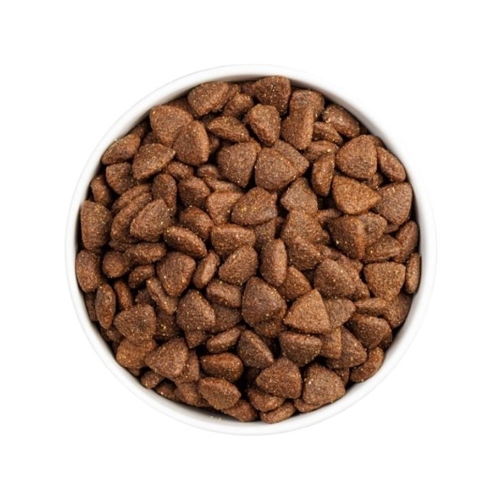 Ownat Dog CLASSIC MONOPROTEICO Iberian Pork 4 KG