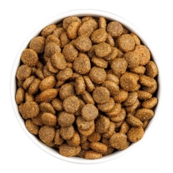 Ownat Dog CLASSIC MONOPROTEICO Salmone 4 KG