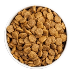 Ownat Dog CLASSIC MONOPROTEICO Agnello 12 KG