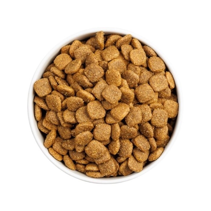 Ownat Dog CLASSIC MONOPROTEICO Agnello 12 KG