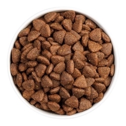 Ownat Dog CLASSIC MONOPROTEICO Iberian Pork 12 KG