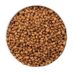 Ownat Cat ULTRA kitten pollo e tacchino 1.5 KG