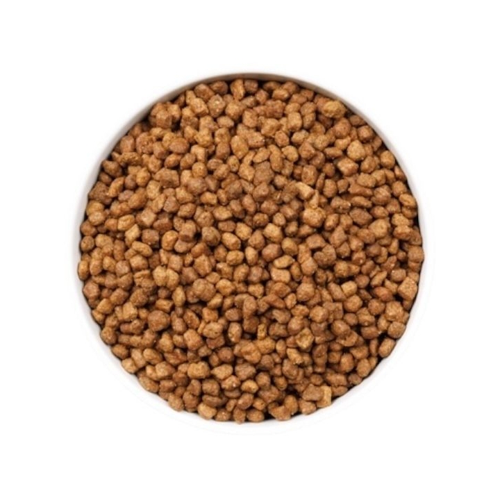 Ownat Cat ULTRA kitten pollo e tacchino 1.5 KG