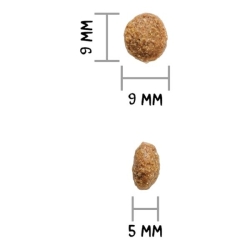 Ownat Dog AUTHOR FRESH agnello e maiale 3 KG