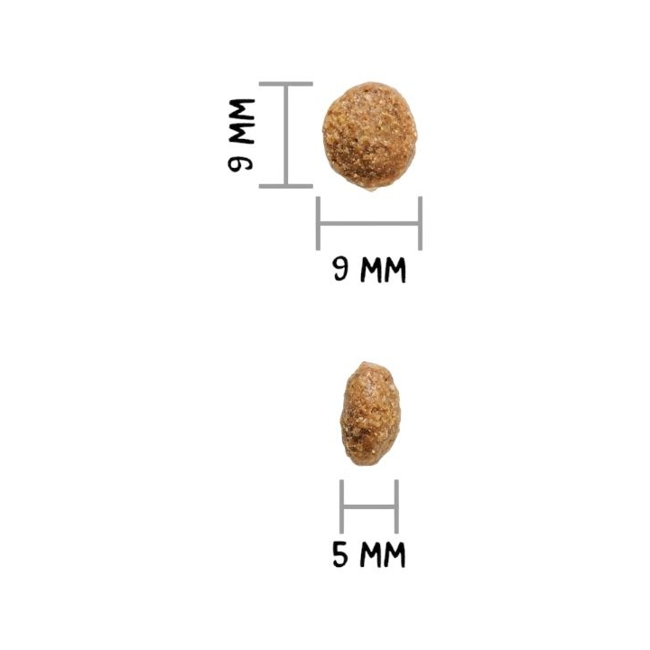 Ownat Dog AUTHOR FRESH agnello e maiale 3 KG