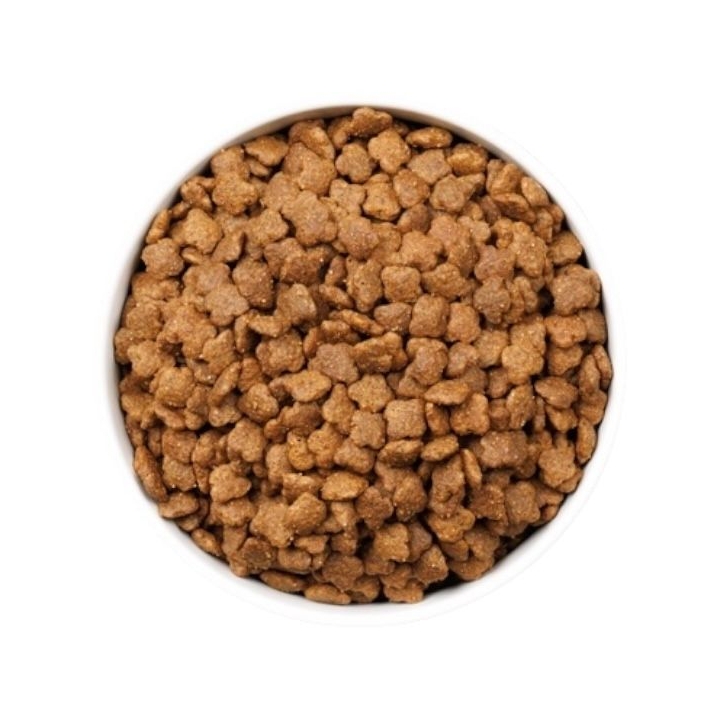Ownat Cat ULTRA young pollo e tacchino 1.5 KG