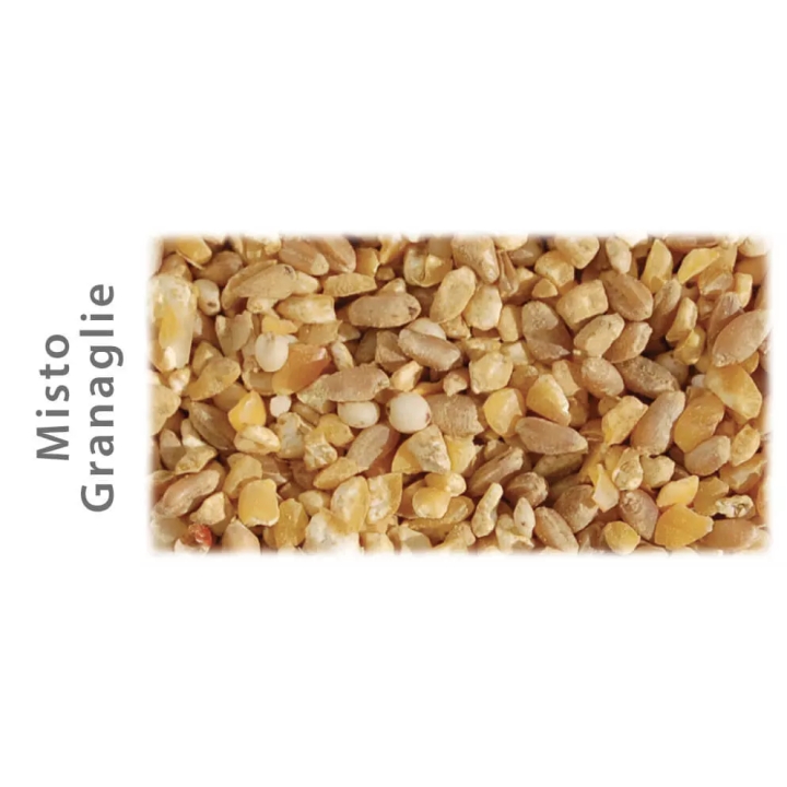 Purina Cortile Rustico mangime polli e galline KG 20