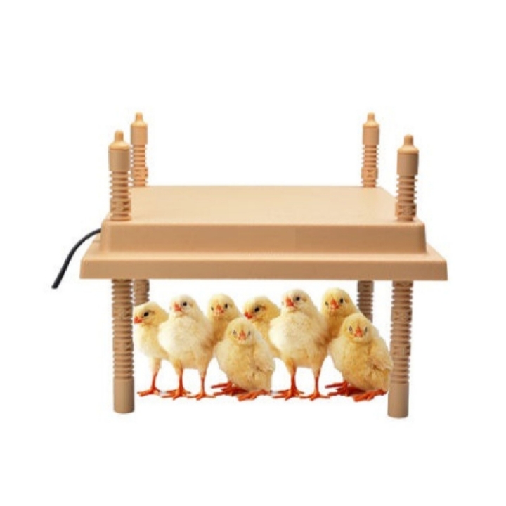 Chioccia elettrica artificiale pulcini