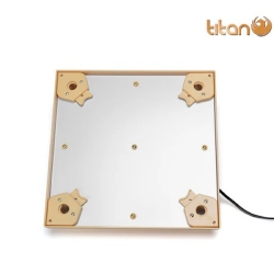 Chioccia elettrica artificiale pulcini