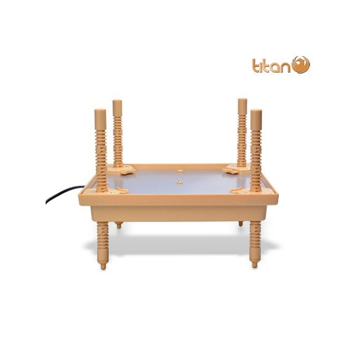 Chioccia elettrica artificiale pulcini