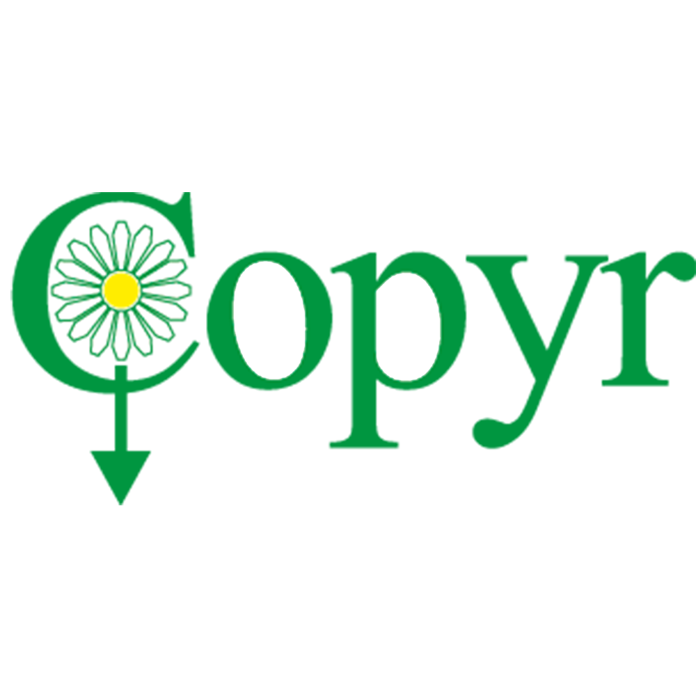 COPYR