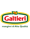 GALTIERI